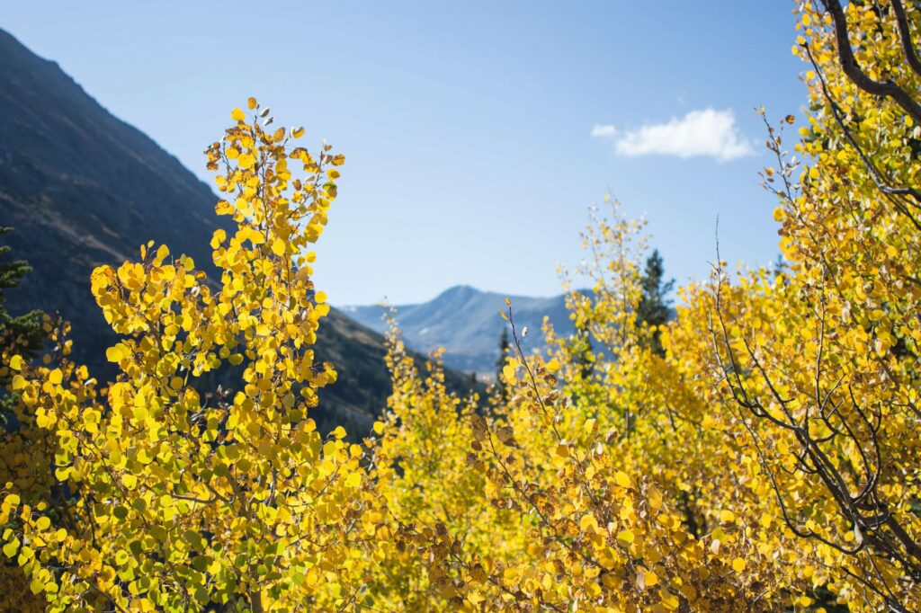 Fall in Colorado