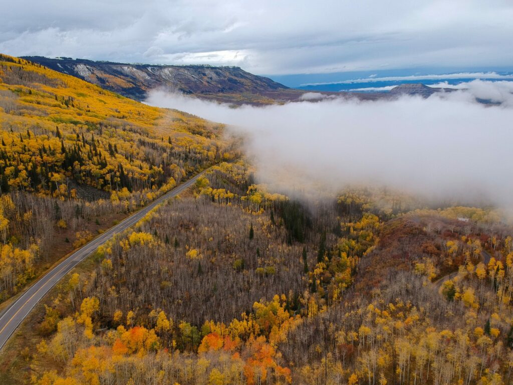 Yellow and orange trees above the clouds in Colorado