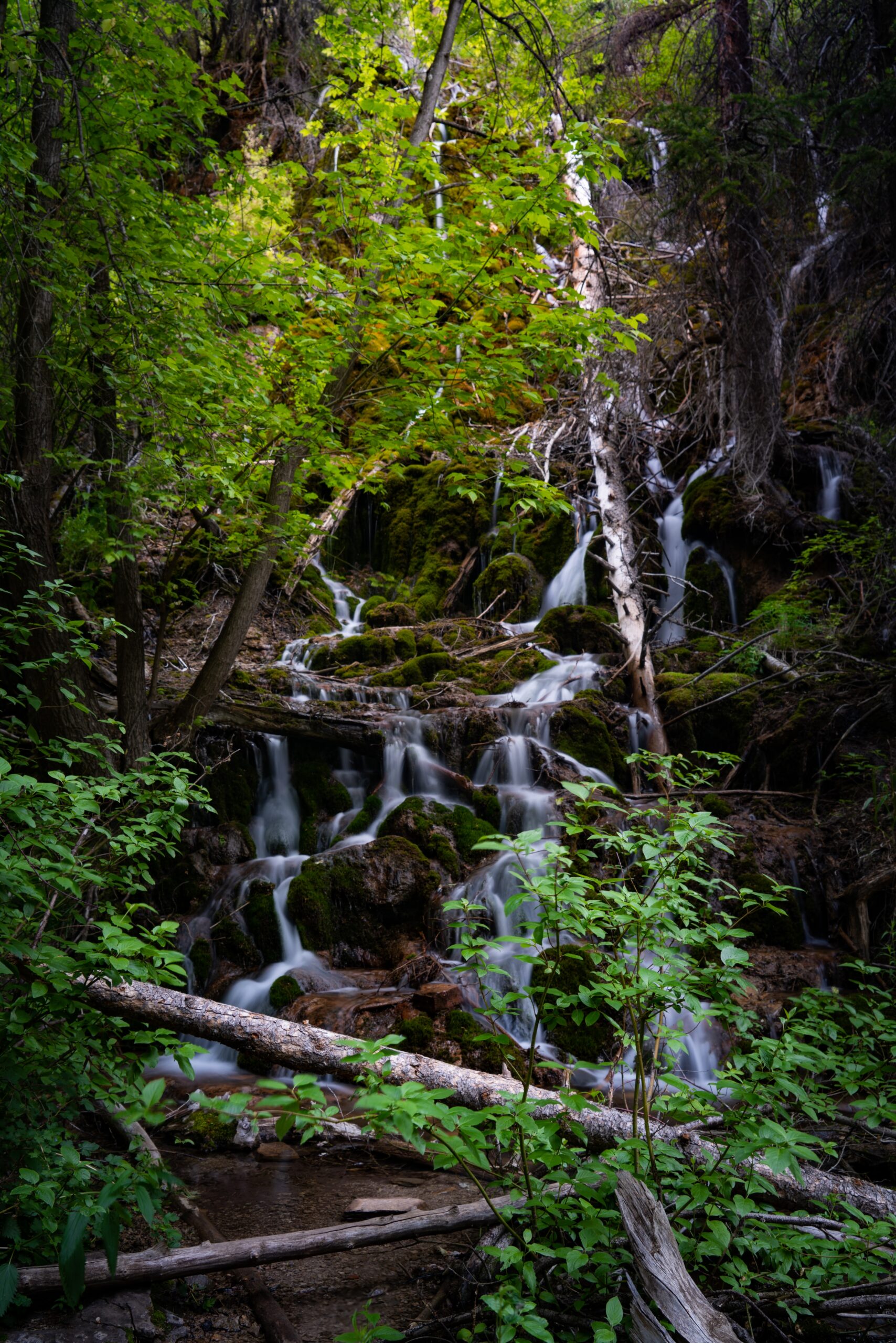 lush waterfall