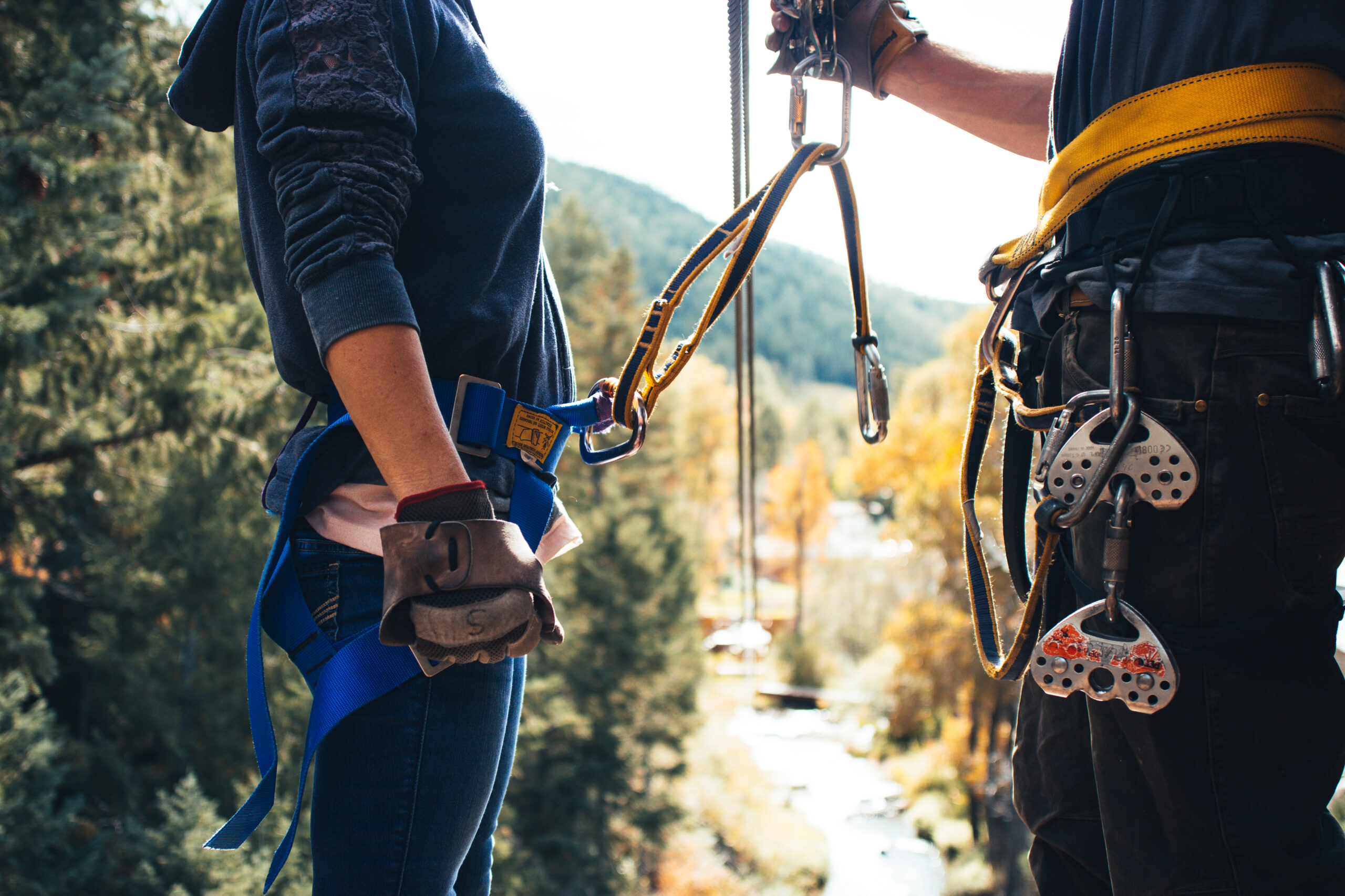 harness and gear system