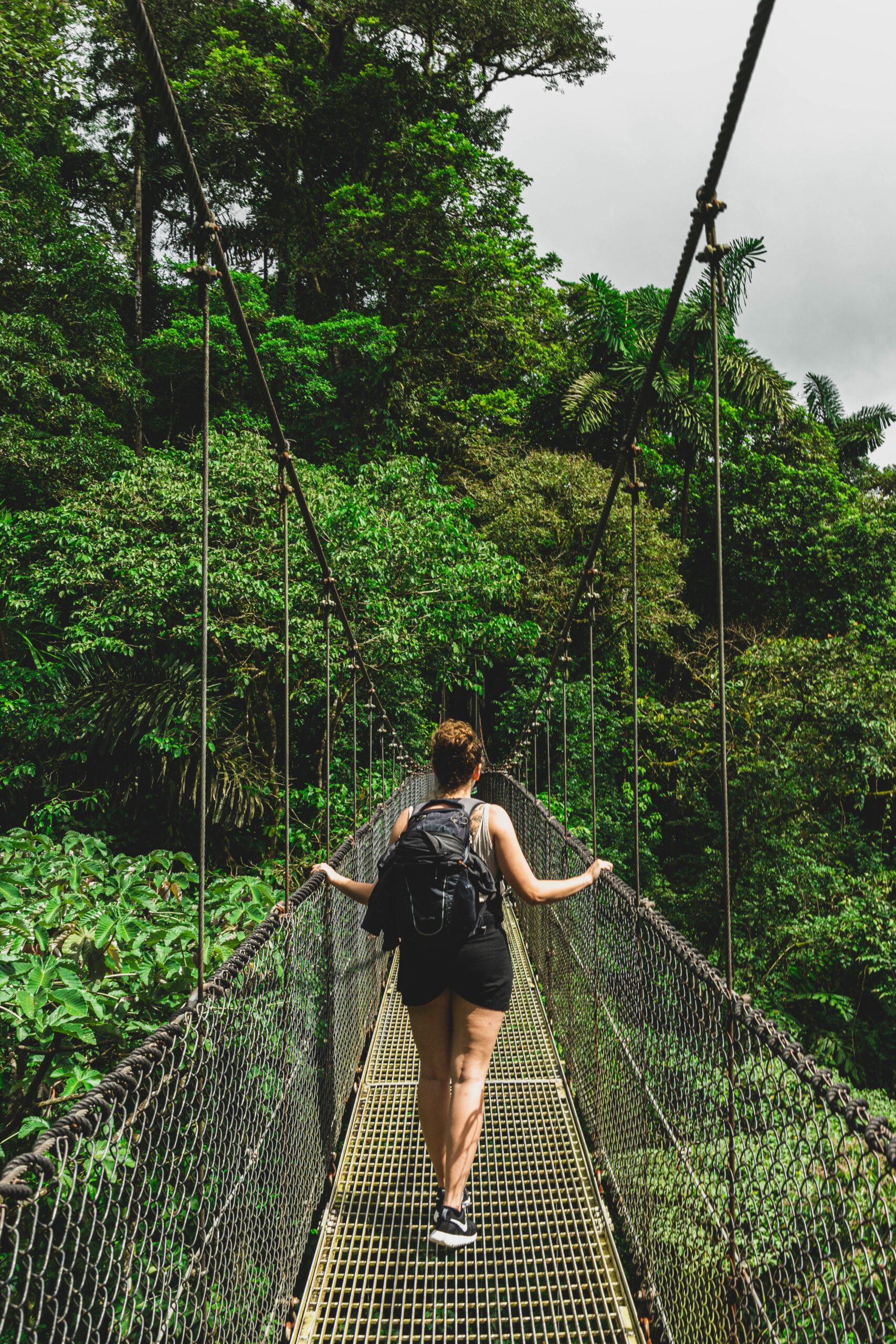 woman walking across treetop suspension bridge