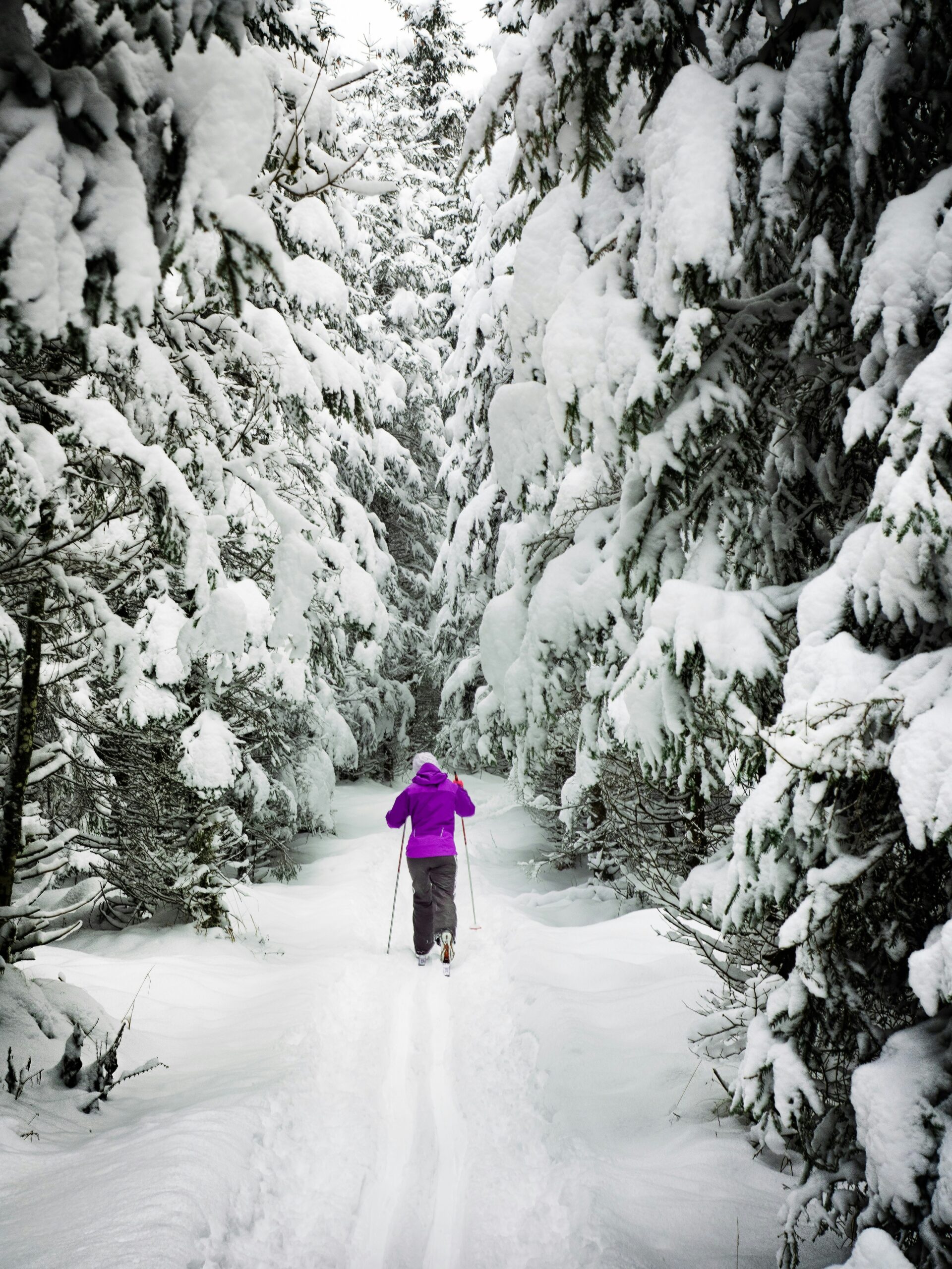 woman cross country skiing