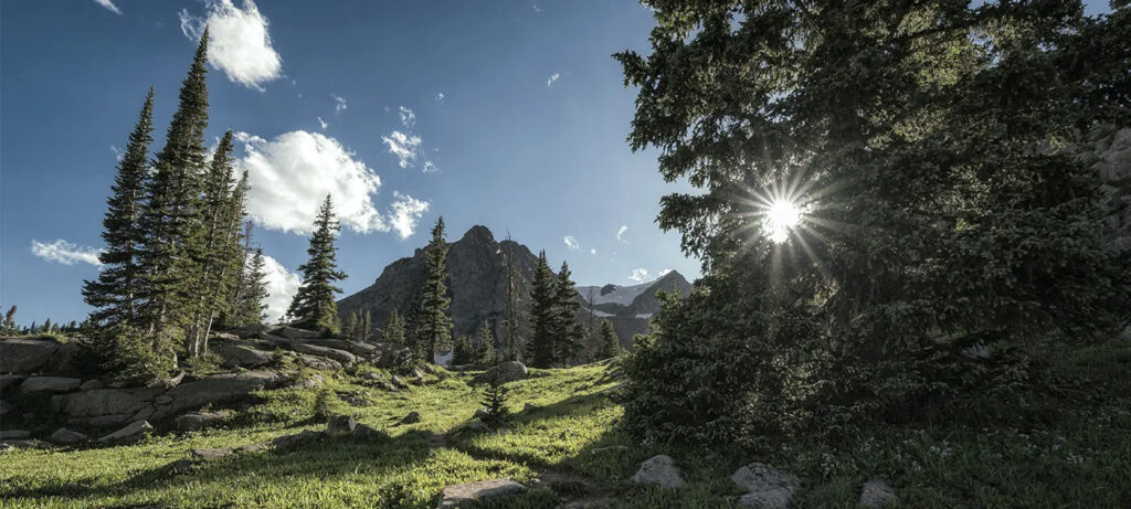 Vail Valley in the summertime.