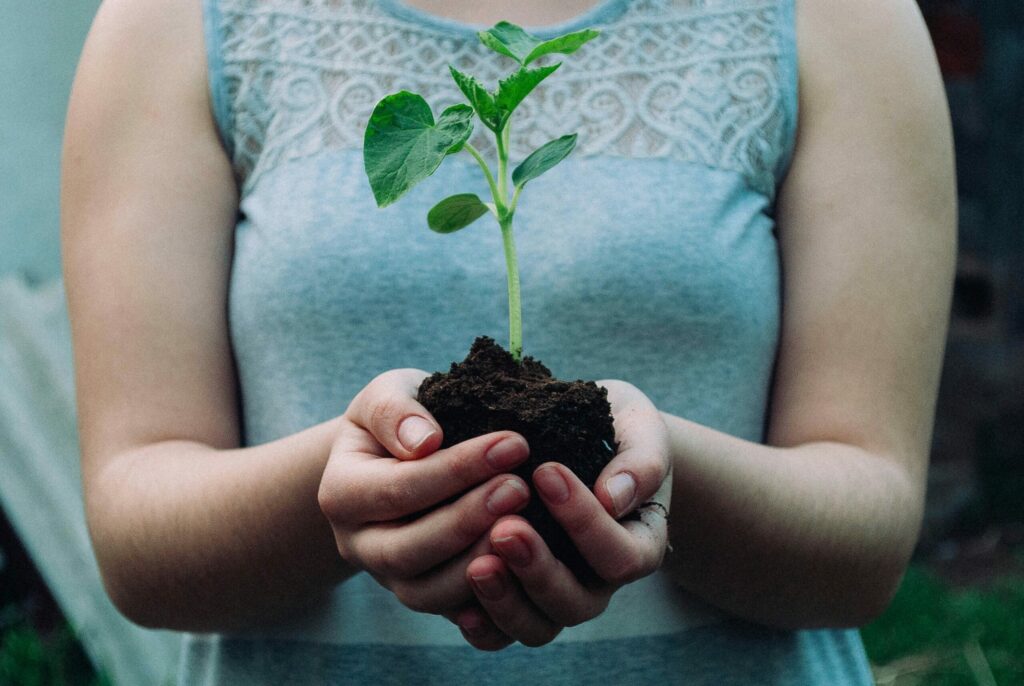 woman holding sapling in dirt